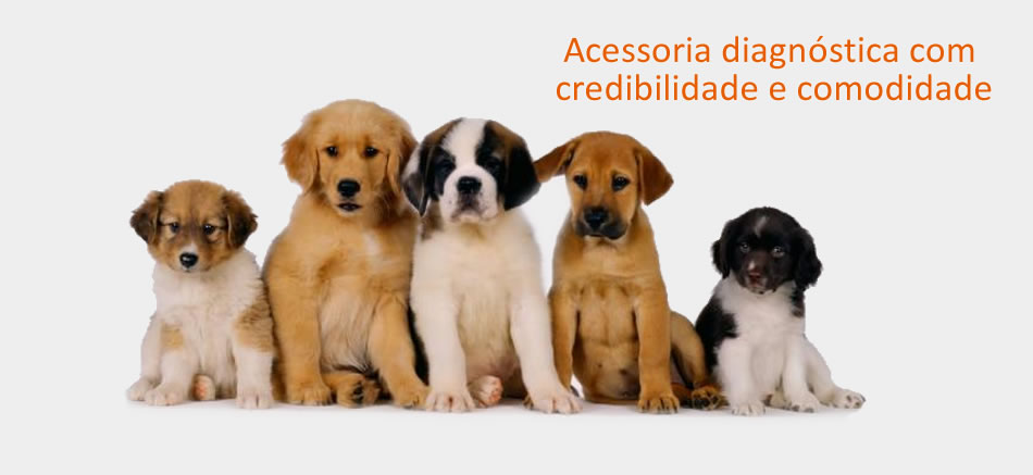 Animal Pat Lab. Exames Laboratoriais Veterin\u00e1rios